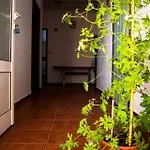 Apartman In With Sea View, Wifi, Washing Machine 4209-1 *