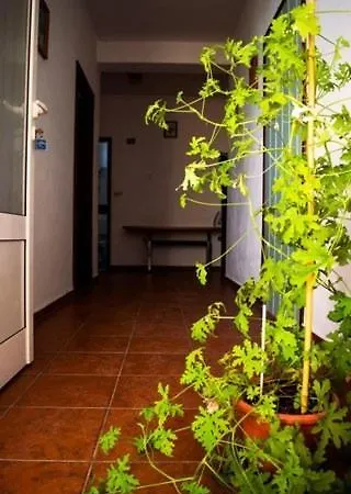 Apartamento In With Sea View, Wifi, Washing Machine 4209-1 *